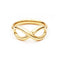 Infinity Icon Ring Gold Plated